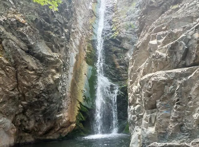 2 Case de vacanță *